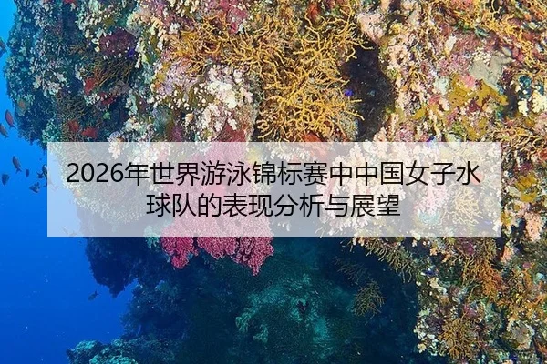 nian-shi-jie-you-yong-jin-biao-sai-zhong-zhong-guo-nv-zi-shui-qiu-dui-de-biao-xian-fen-xi-yu-zhan-wang-2-217.jpg