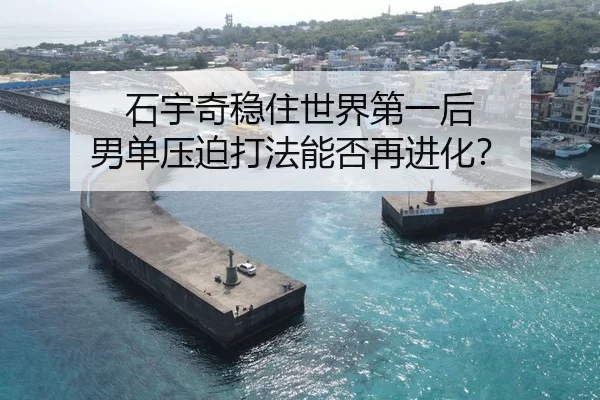 石宇奇稳住世界第一后 男单压迫打法能否再进化？