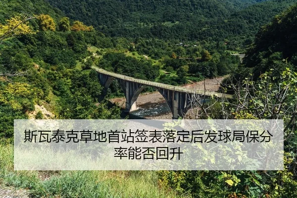 si-wa-tai-ke-cao-di-shou-zhan-qian-biao-luo-ding-hou-fa-qiu-ju-bao-fen-lv-neng-fou-hui-sheng-2-806.jpg