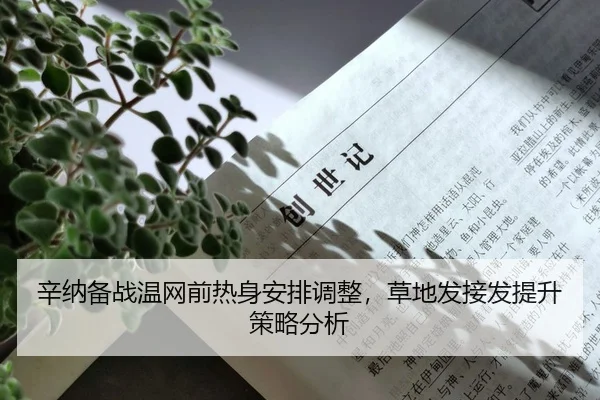 xin-na-bei-zhan-wen-wang-qian-re-shen-an-pai-tiao-zheng-cao-di-fa-jie-fa-ti-sheng-ce-lve-fen-xi-2-116.jpg