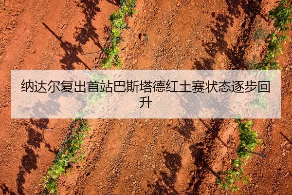 纳达尔复出首站巴斯塔德红土赛状态逐步回升