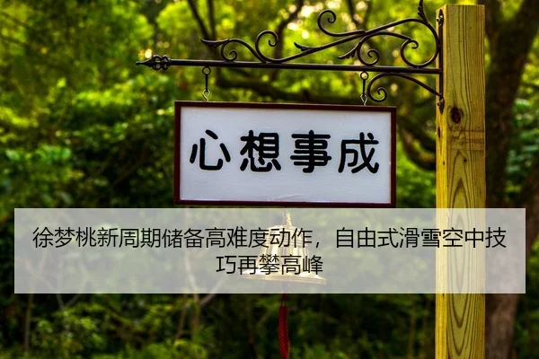 xu-meng-tao-xin-zhou-qi-chu-bei-gao-nan-du-dong-zuo-zi-you-shi-hua-xue-kong-zhong-ji-qiao-zai-pan-gao-feng-3-134.jpg